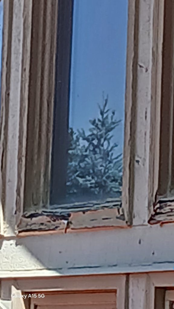 Rotted and peeling wood trim at a window sill before replacement.