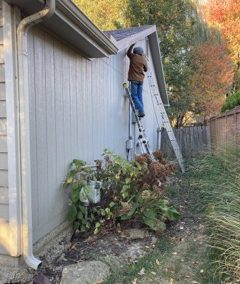Siding Replacement and Paint- Lawrence, KS