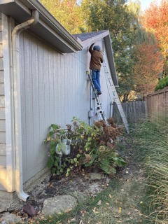 Siding Replacement and Paint- Lawrence, KS